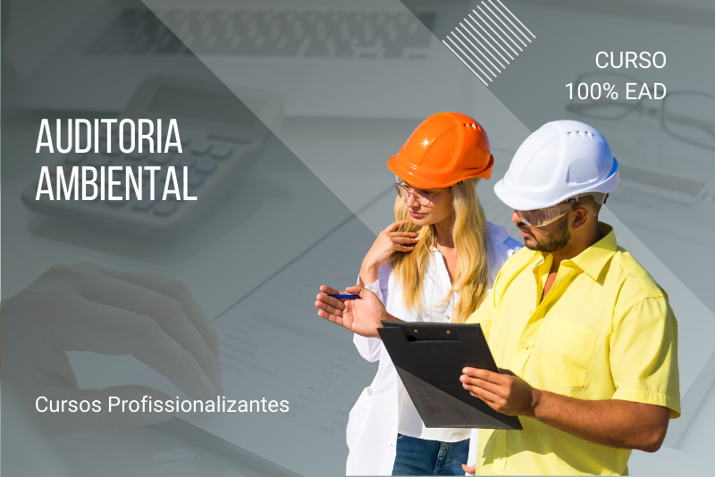 Auditoria Ambiental - 80 Horas
